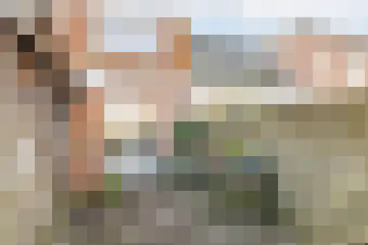 Diezerhoven 9 Zwolle thumbnail 19