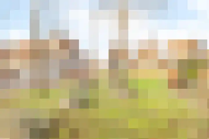 Diezerhoven 9 Zwolle thumbnail 28
