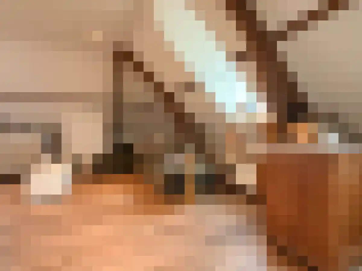 Diezerkade 1 D Zwolle thumbnail 4