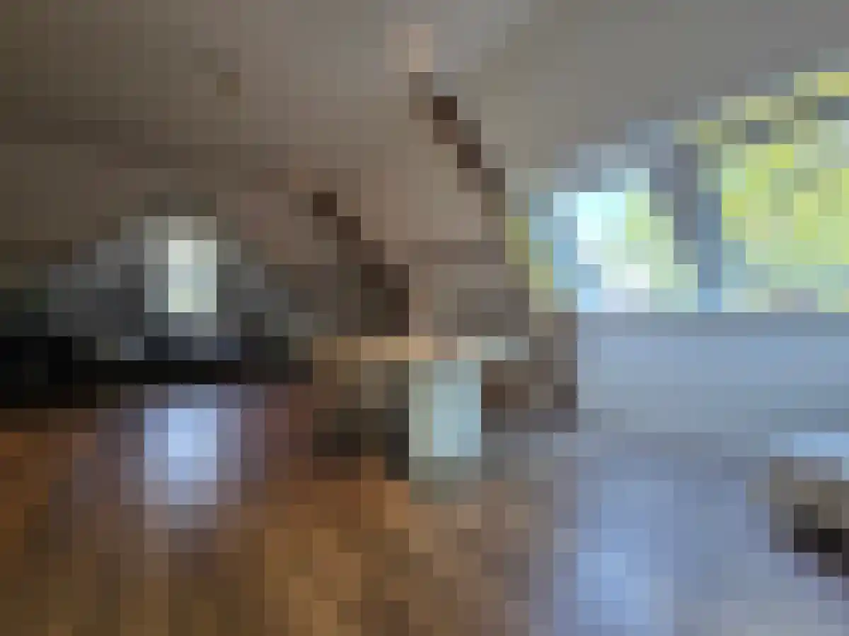 Diezerkade 1 Zwolle thumbnail 6