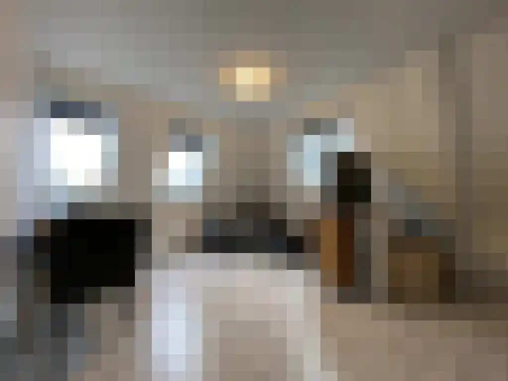 Diezerplein 6 Zwolle thumbnail 5