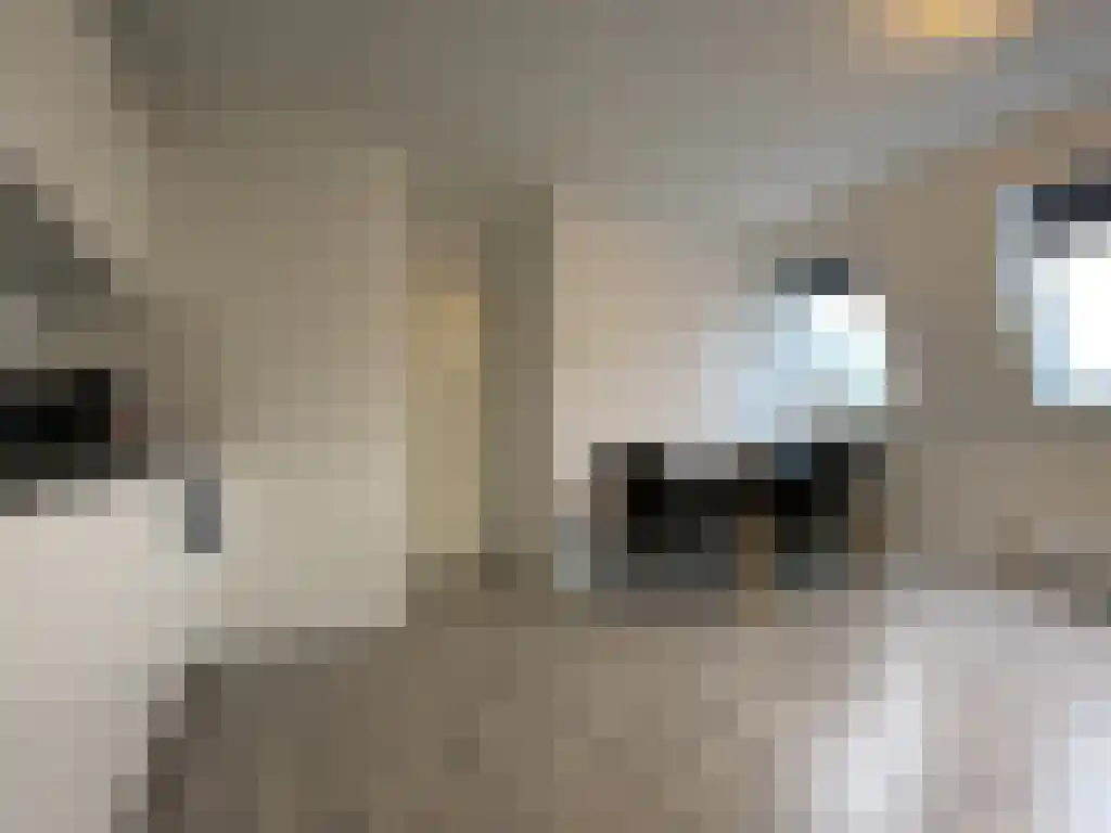Diezerplein 6 Zwolle thumbnail 6
