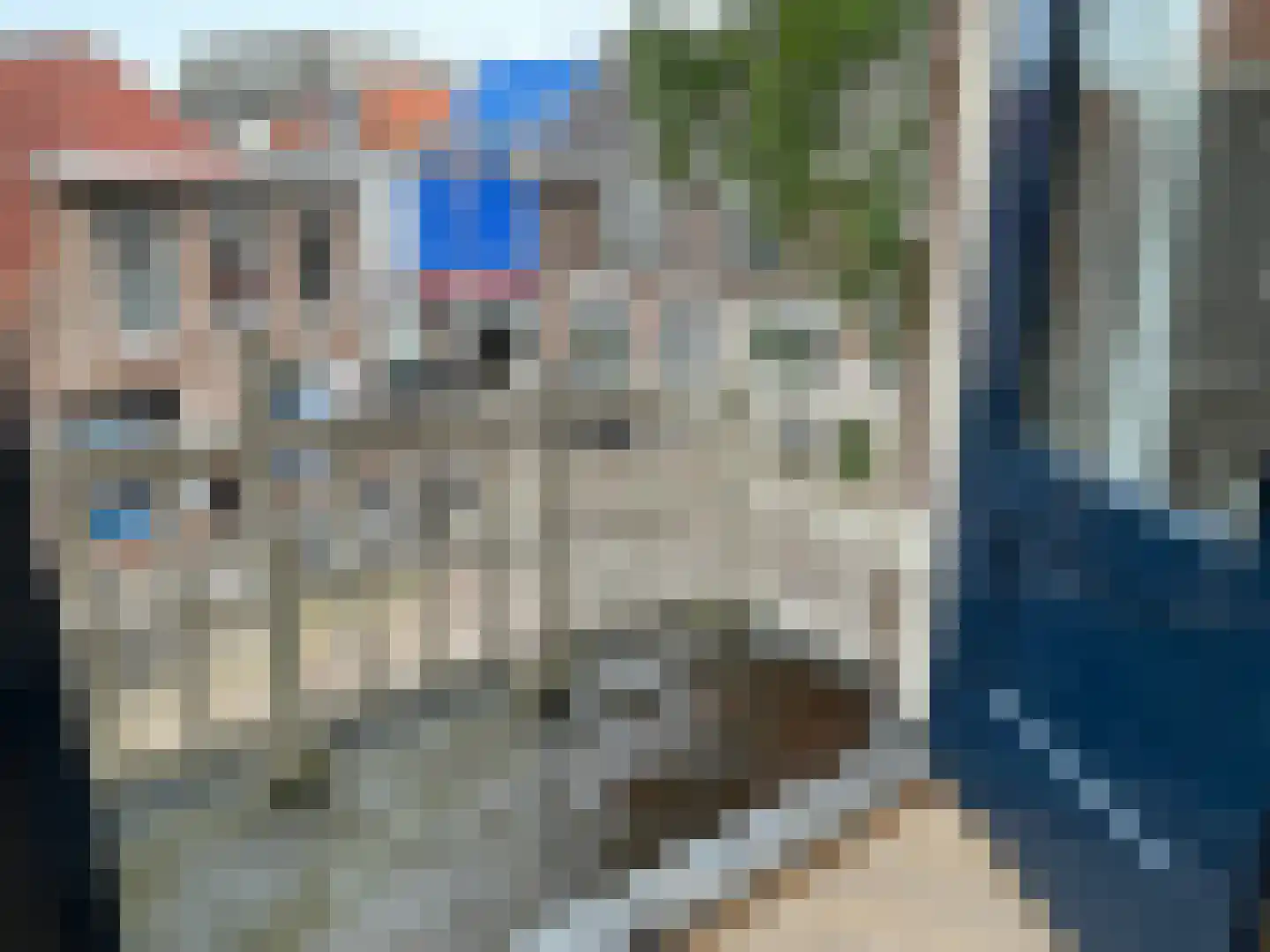 Diezerplein 7 A 2 Zwolle thumbnail 8
