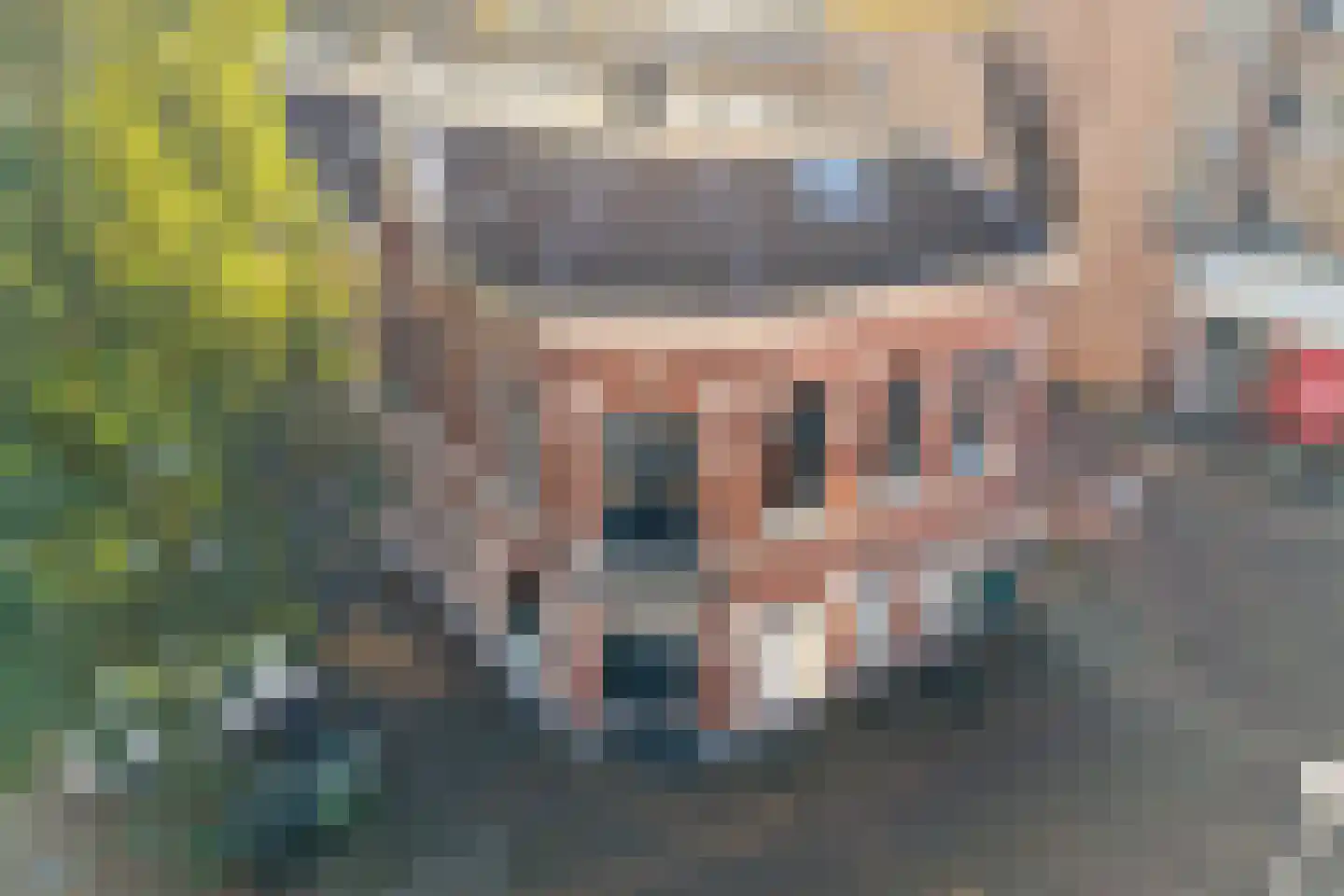 Diezerplein 7 Zwolle thumbnail 5