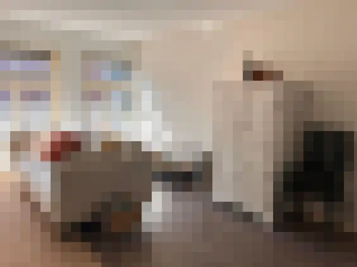 Diezerpoortenplas 34 Zwolle thumbnail 5