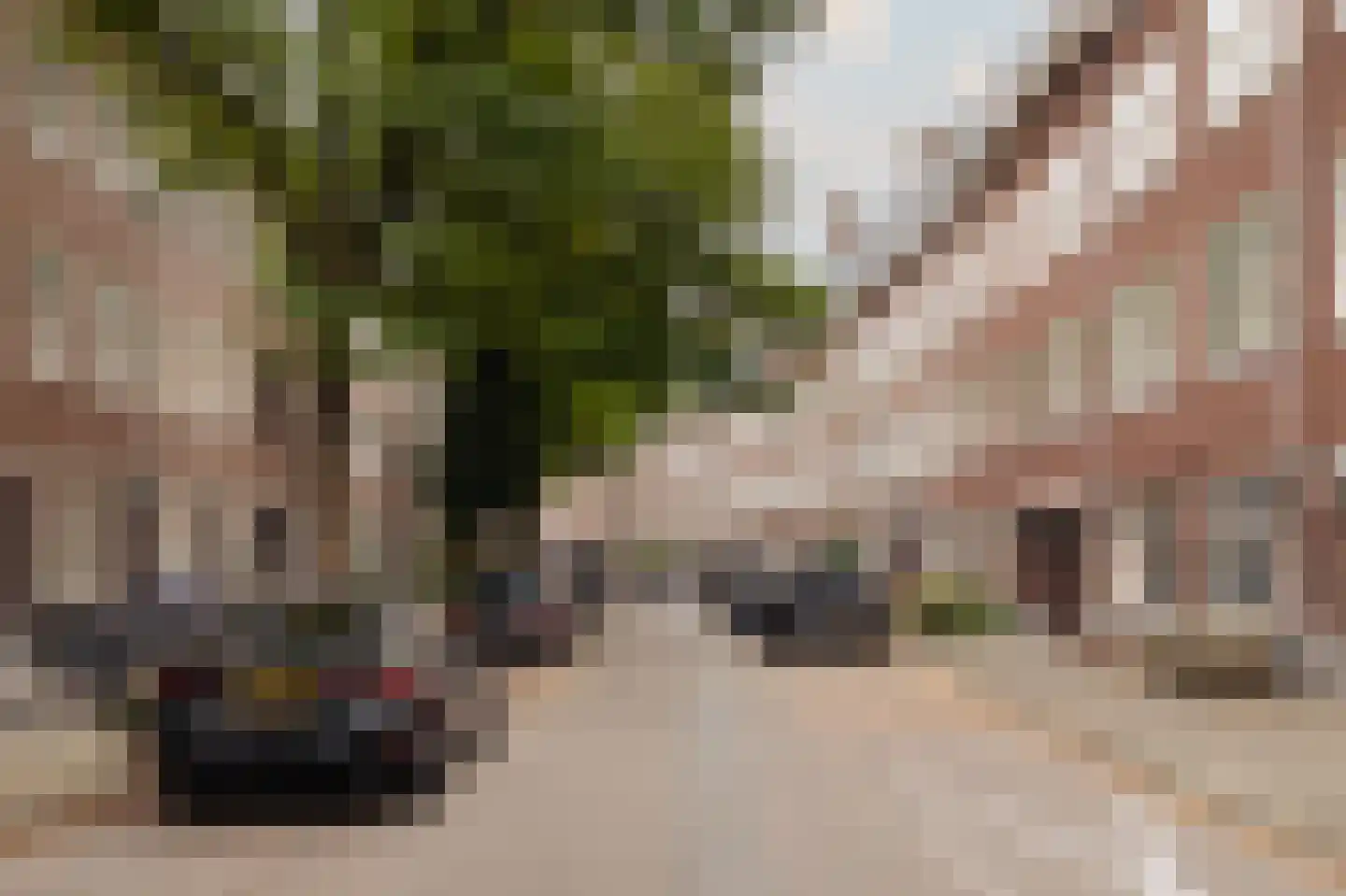 Diezestraat 14 H Amsterdam thumbnail 26