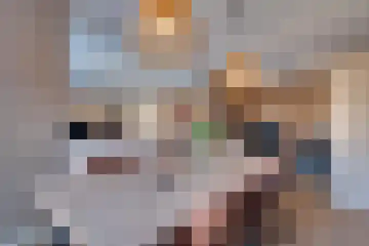 Diezestraat 16 Assen thumbnail 8