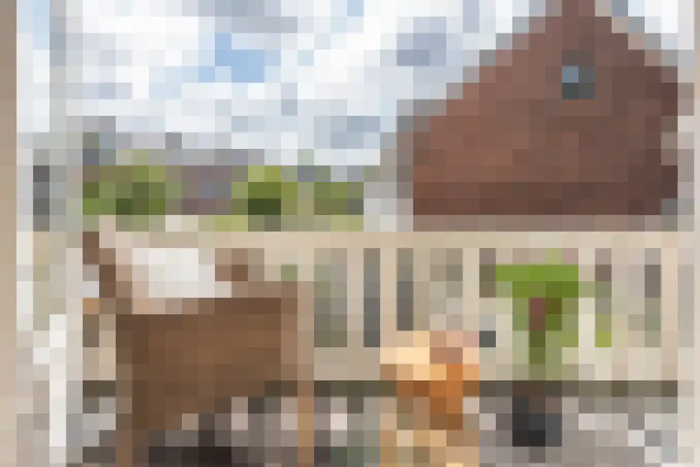 Diezestraat 2 Haarlem thumbnail 30
