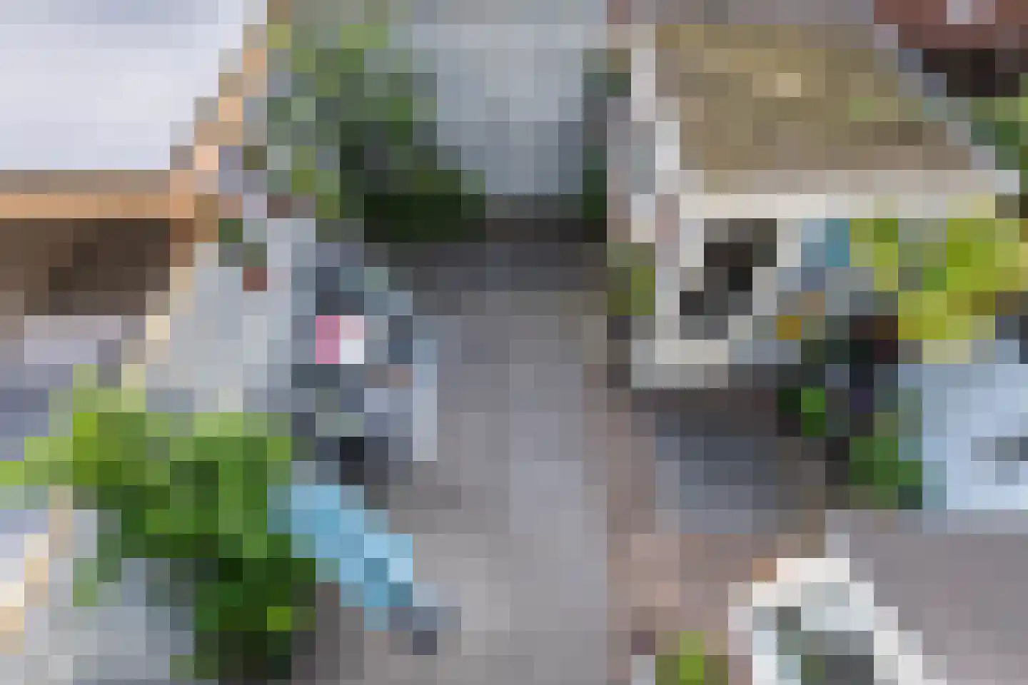 Diezestraat 2 Haarlem thumbnail 31