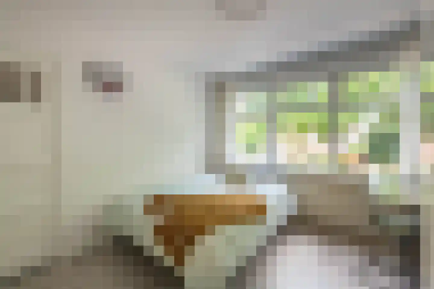 Diezestraat 2 Haarlem thumbnail 32