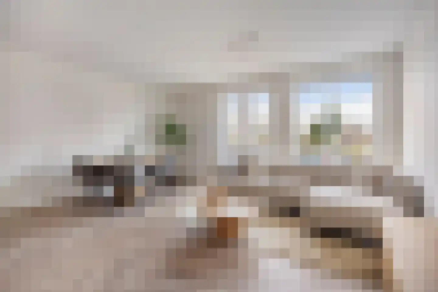 Diezestraat 25 Terneuzen thumbnail 10