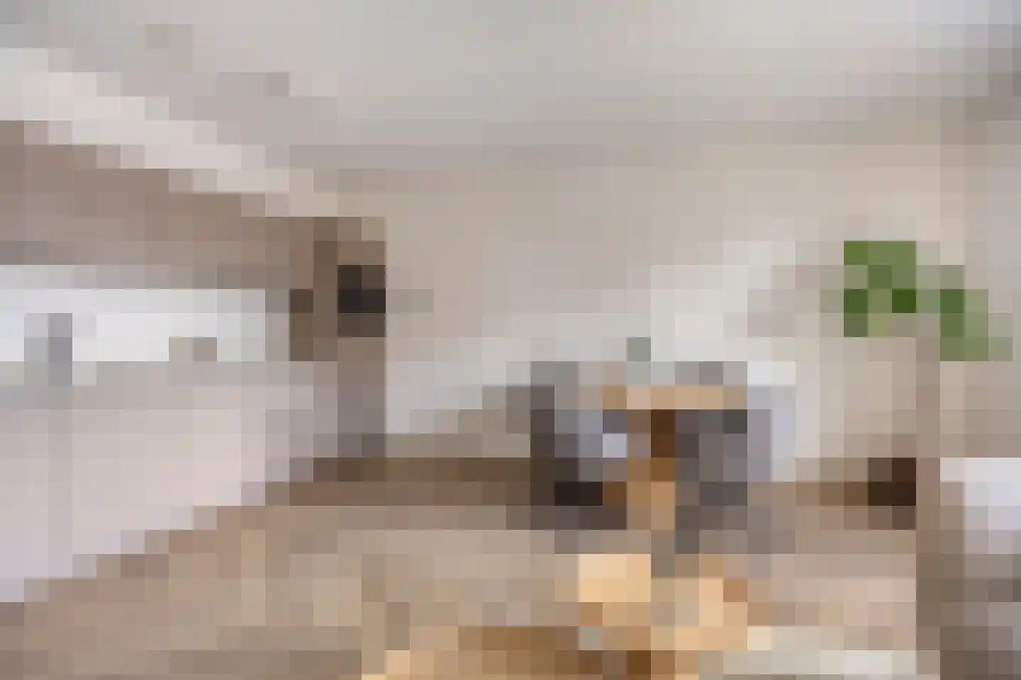 Diezestraat 25 Terneuzen thumbnail 12