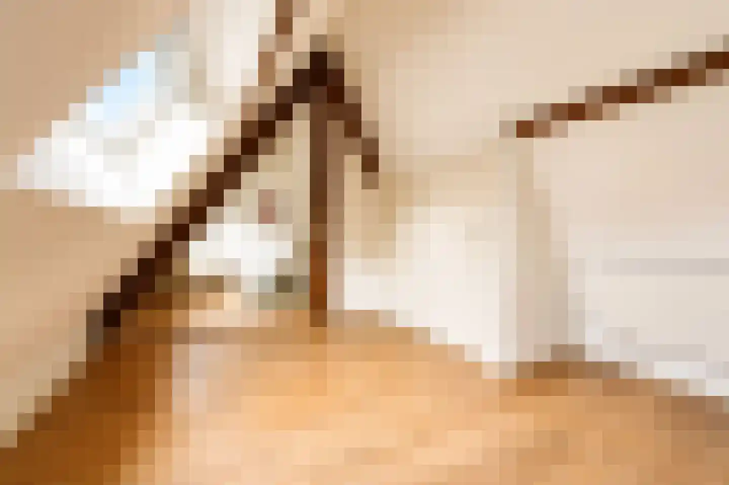 Diezestraat 26 2 Amsterdam thumbnail 21