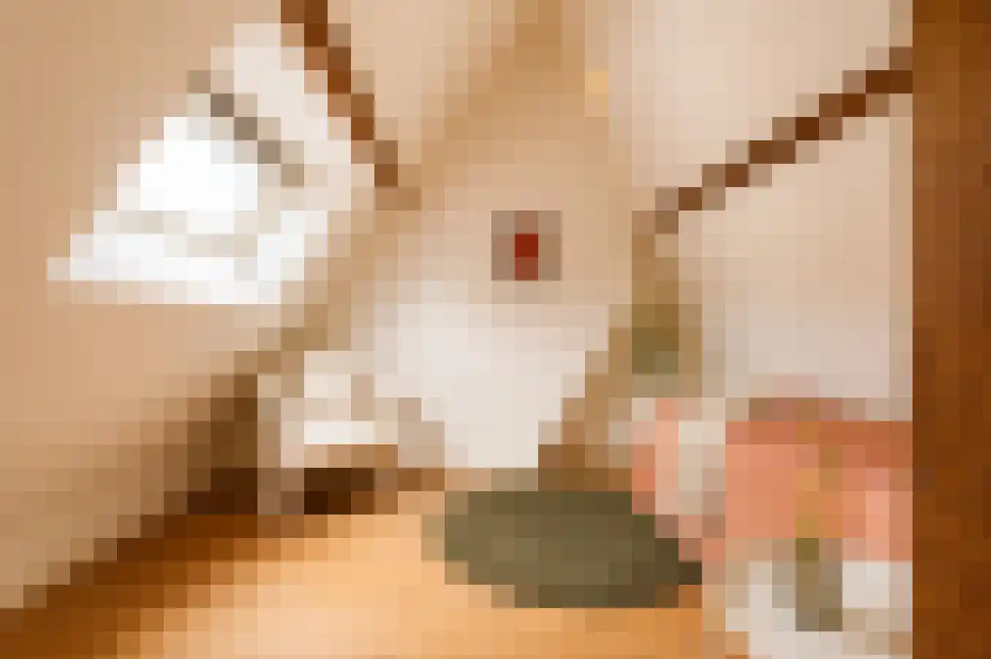 Diezestraat 26 2 Amsterdam thumbnail 22