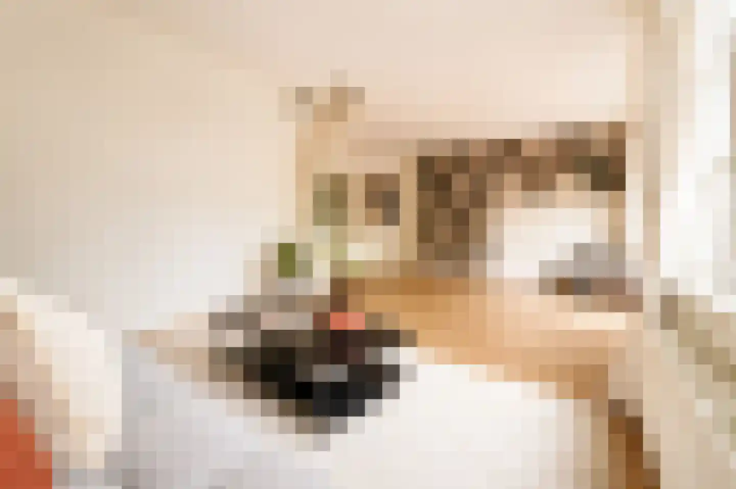 Diezestraat 26 2 Amsterdam thumbnail 6