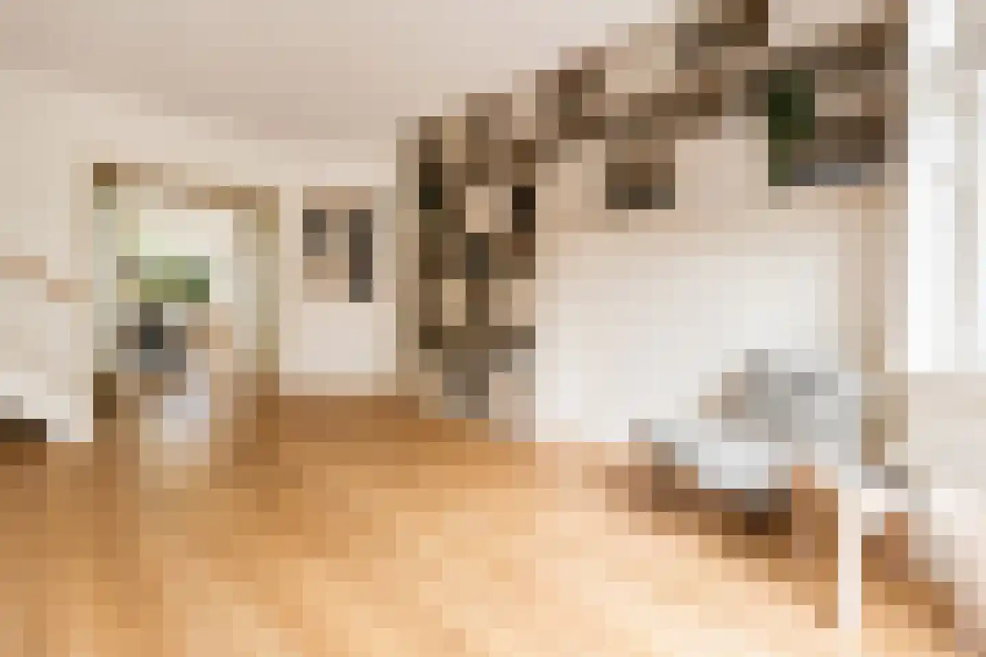 Diezestraat 26 2 Amsterdam thumbnail 8