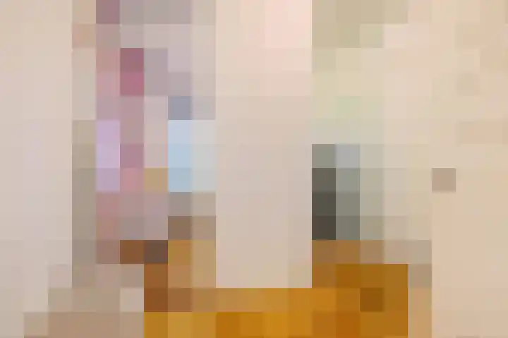 Diezestraat 27 2 Amsterdam thumbnail 9