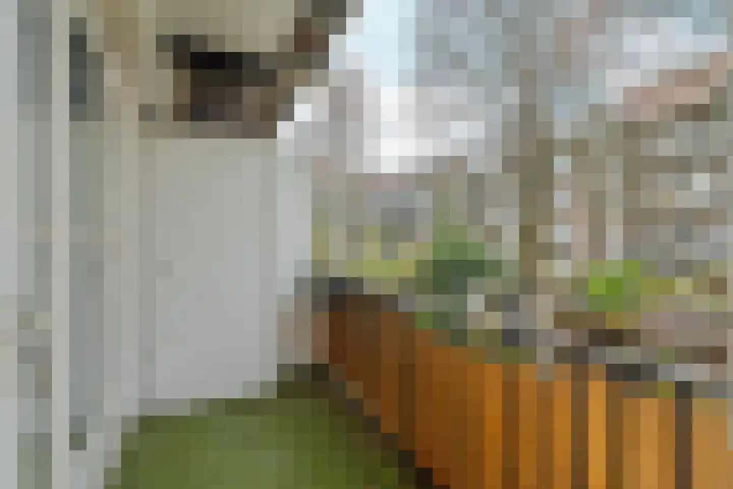Diezestraat 28 2 Amsterdam thumbnail 21