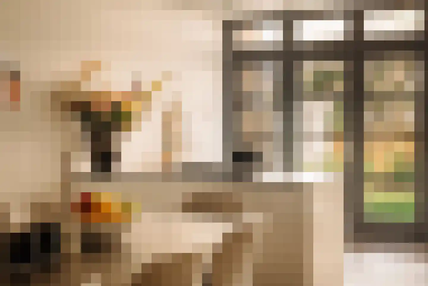 Diezestraat 31 H Amsterdam thumbnail 14