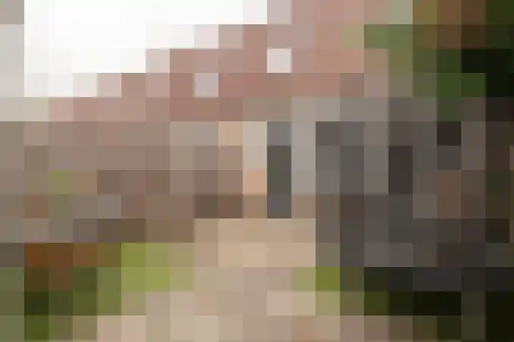 Diezestraat 4 Culemborg thumbnail 36
