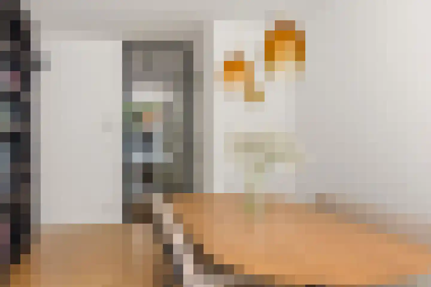 Diezestraat 6 2 Amsterdam thumbnail 8