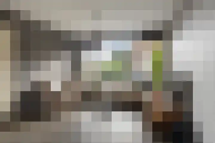 Diezestraat 6 Den Helder thumbnail 10