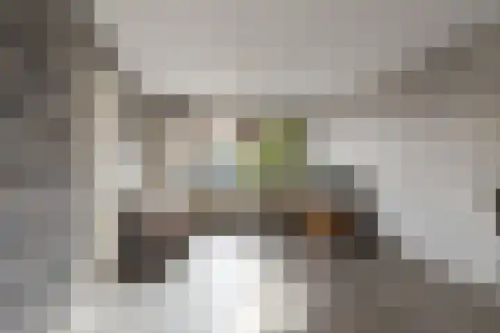 Diezestraat 6 Den Helder thumbnail 9
