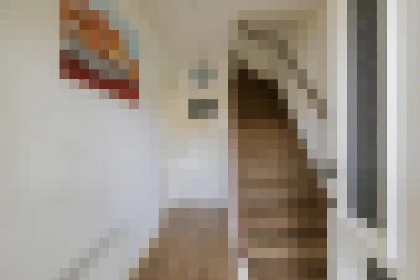 Diezestraat 7 IJmuiden thumbnail 7