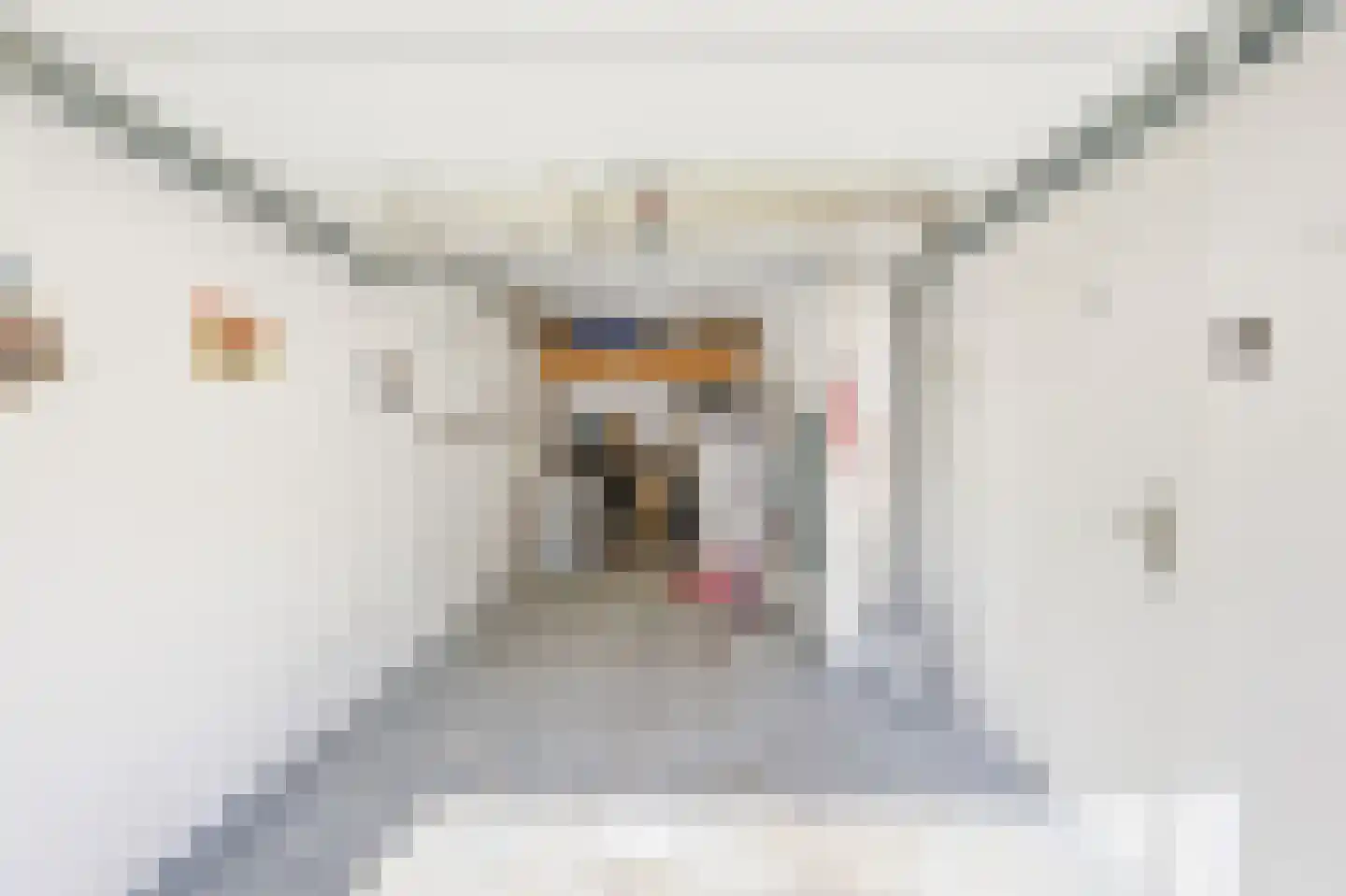 Diezestraat 7 Oost-Souburg thumbnail 17