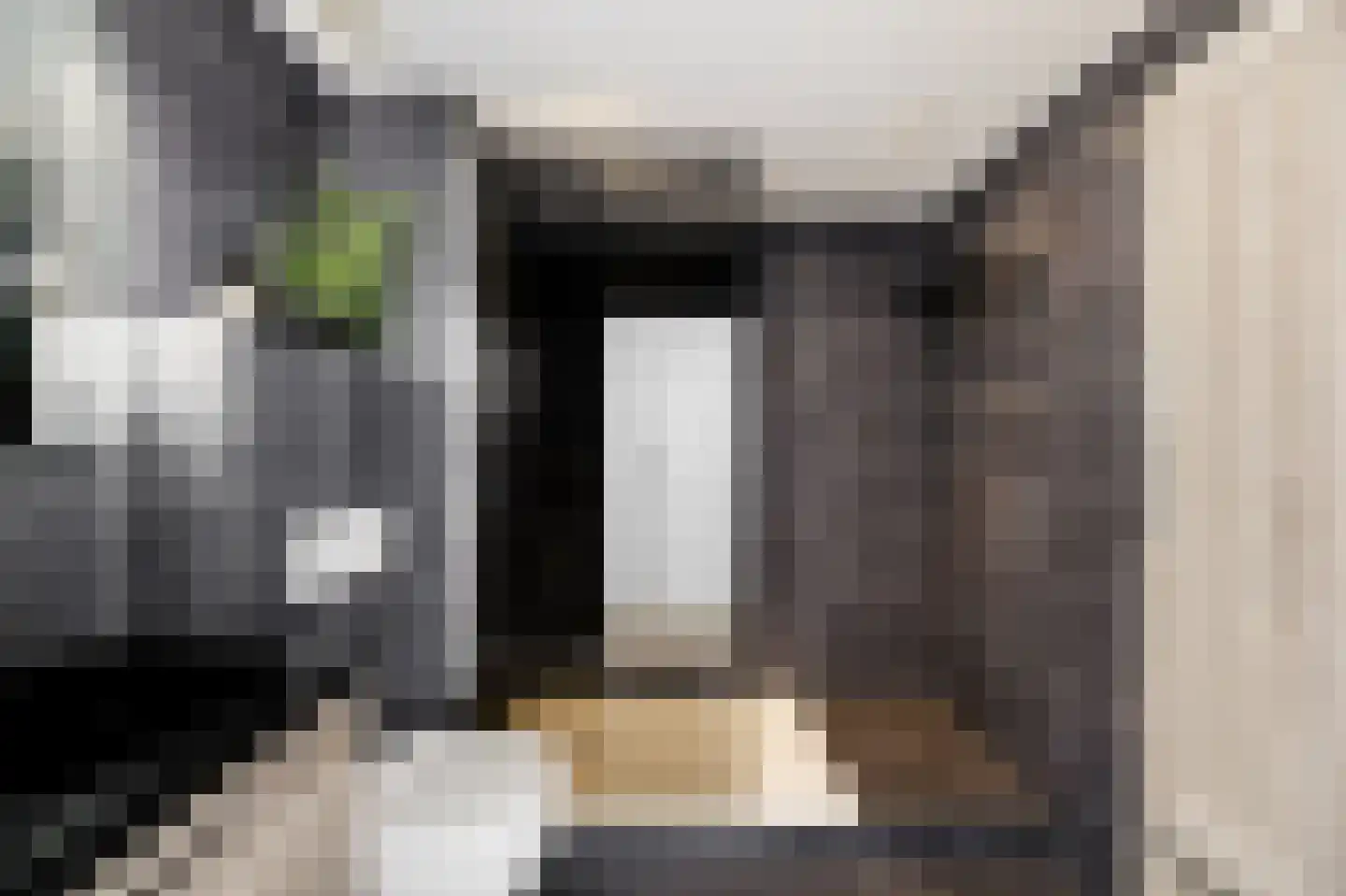 Diezestraat 7 Oost-Souburg thumbnail 4