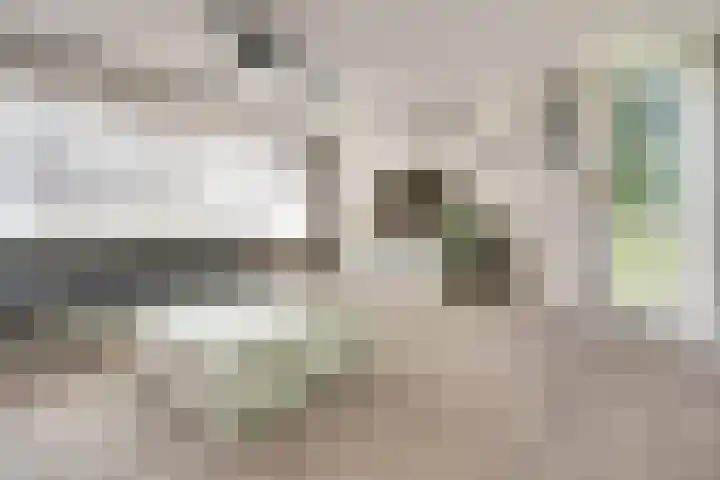 Digna Johannaweg 115 Hoogvliet Rotterdam thumbnail 10