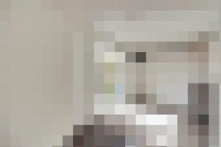 Digna Johannaweg 115 Hoogvliet Rotterdam thumbnail 12