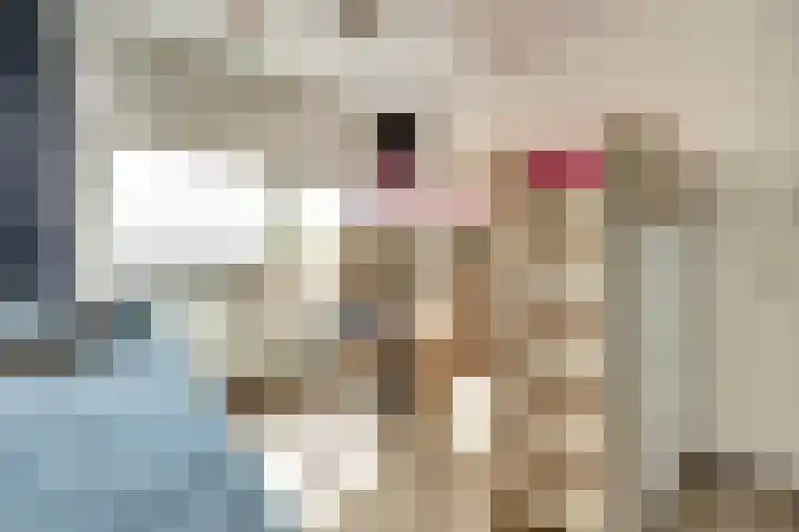 Digna Johannaweg 115 Hoogvliet Rotterdam thumbnail 16