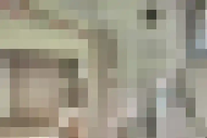 Digna Johannaweg 115 Hoogvliet Rotterdam thumbnail 17