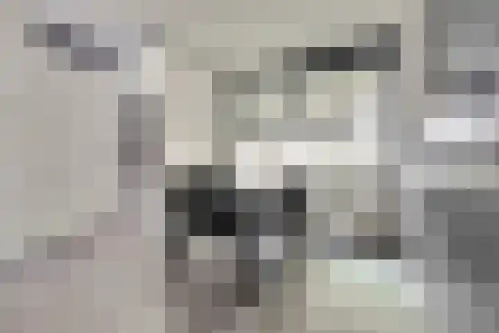 Digna Johannaweg 115 Hoogvliet Rotterdam thumbnail 5