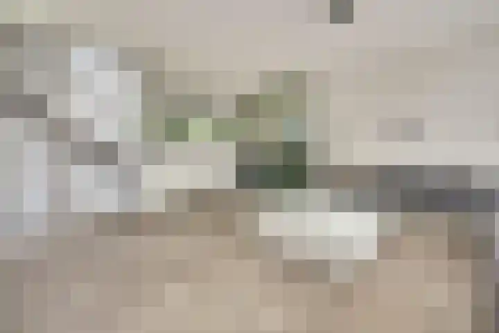 Digna Johannaweg 115 Hoogvliet Rotterdam thumbnail 8