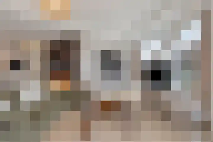 Digna Johannaweg 143 Hoogvliet Rotterdam thumbnail 18