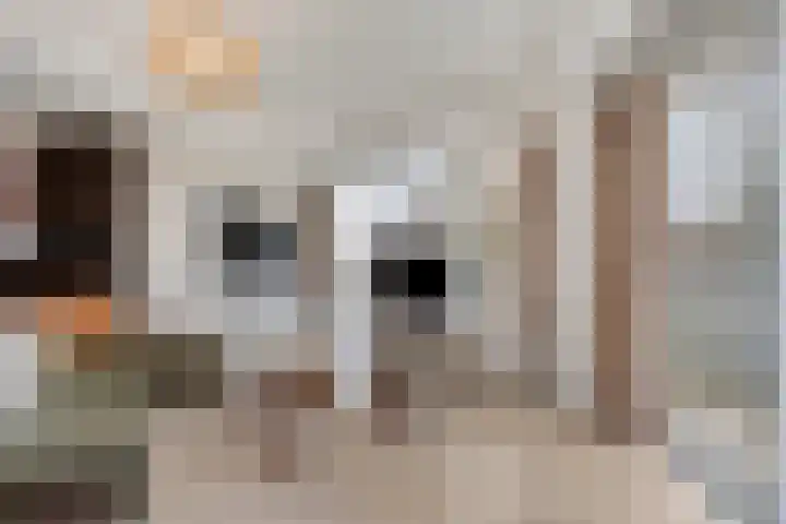 Digna Johannaweg 143 Hoogvliet Rotterdam thumbnail 19