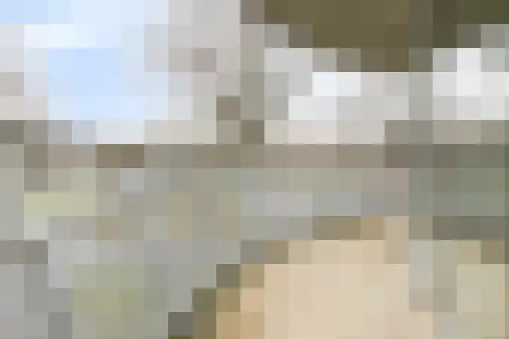 Digna Johannaweg 143 Hoogvliet Rotterdam thumbnail 23