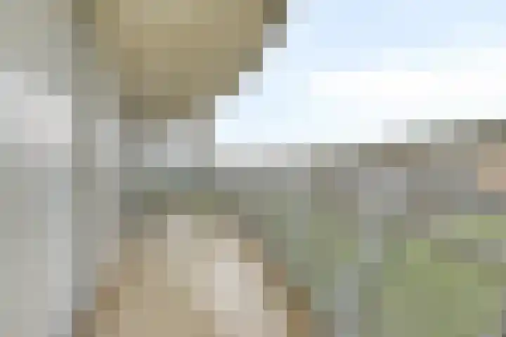 Digna Johannaweg 143 Hoogvliet Rotterdam thumbnail 24