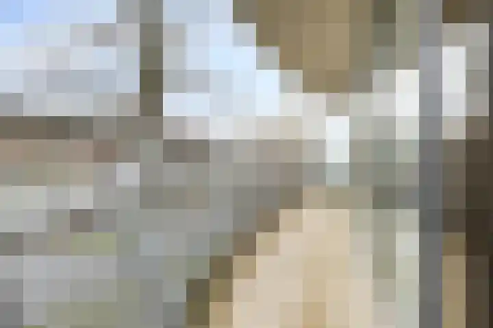 Digna Johannaweg 143 Hoogvliet Rotterdam thumbnail 25