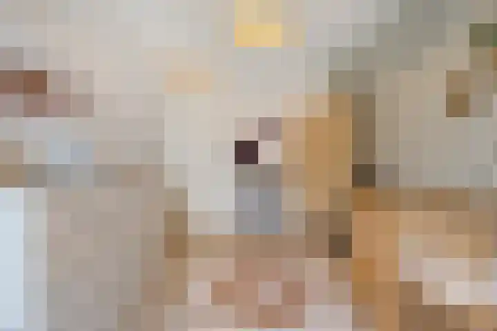 Digna Johannaweg 143 Hoogvliet Rotterdam thumbnail 28