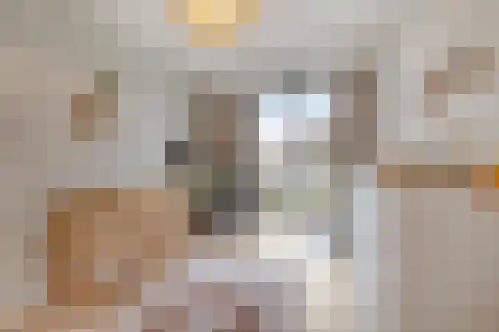 Digna Johannaweg 143 Hoogvliet Rotterdam thumbnail 29