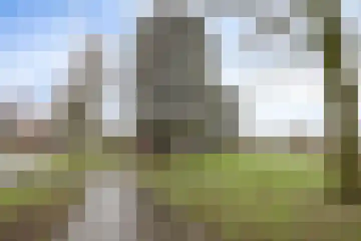 Digna Johannaweg 143 Hoogvliet Rotterdam thumbnail 37