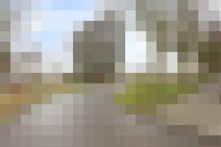 Digna Johannaweg 143 Hoogvliet Rotterdam thumbnail 5