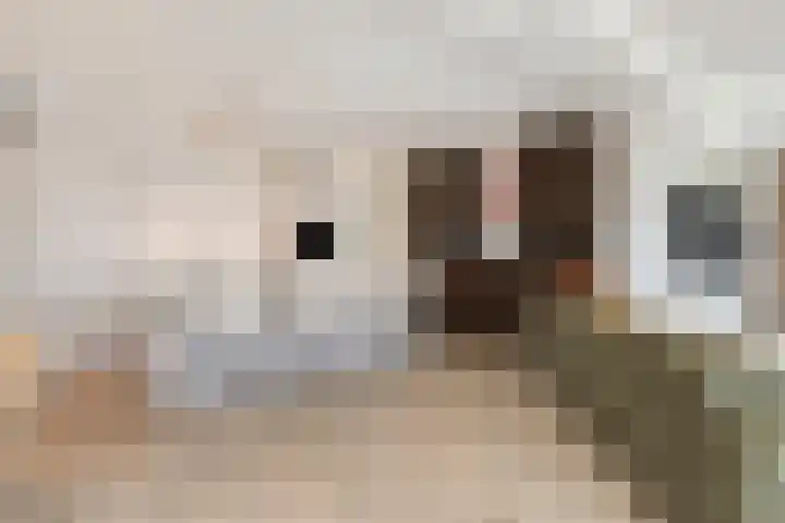 Digna Johannaweg 143 Hoogvliet Rotterdam thumbnail 9