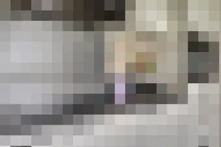 Digna Johannaweg 17 Hoogvliet Rotterdam thumbnail 10