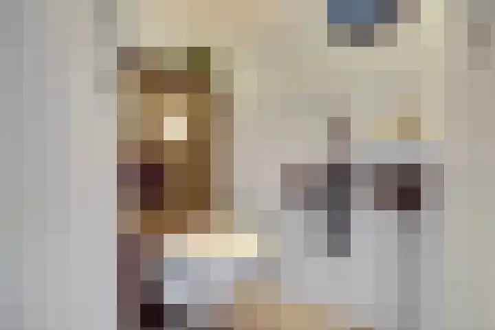Digna Johannaweg 17 Hoogvliet Rotterdam thumbnail 13