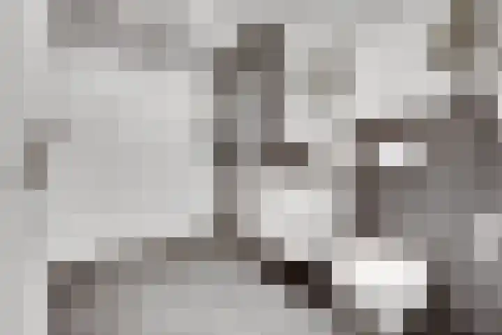 Digna Johannaweg 17 Hoogvliet Rotterdam thumbnail 16