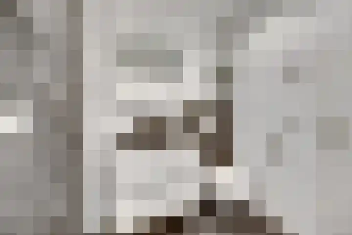 Digna Johannaweg 17 Hoogvliet Rotterdam thumbnail 17